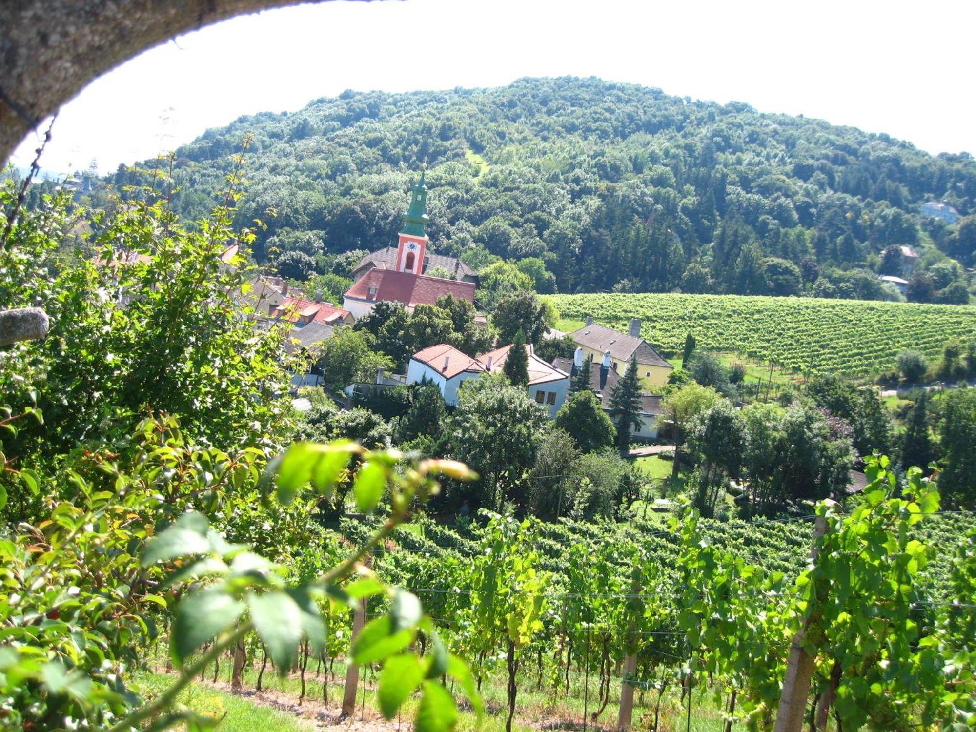 Vienna Cottage מראה חיצוני תמונה